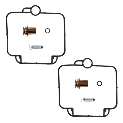 Kit réparation carburateur Mikuni BST33 stopper fuite et ralenti instable DR800