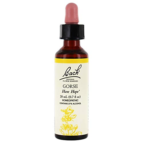 BACH Flower ESSENCES Flower Essence Gorse 20 ML