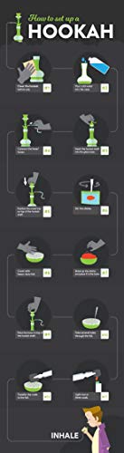 Zebra Smoke Series: 11" 2 Hose Pumpkin Hookah Complete Set- Combo Kit Set W/ Instant Charcoal And Hookah Mouth Tips (Red) #TOP6