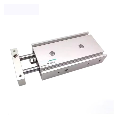 Cylindre pneumatique TR20 anti-torsion à double tige de 75mm