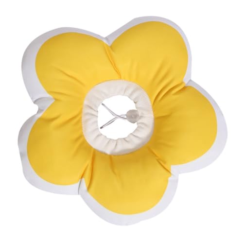 KOMBIUDA hRbLJ[ LpԌ^lbNR[ ی rߖh~ rߖh~ ybgppPAp