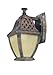 Troy Lighting BF2081BI Biscayne - One Light Outdoor Small Wall Lantern, Biscayne Finish with Dusty Amber Glass