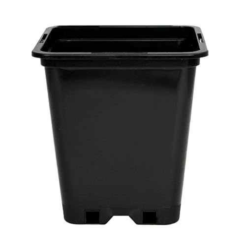 Generisch 10 x Pflanztopf in Verschiedene Größen Anzucht Töpfe Grow viereckig Kübel (1 L / 10 x 10 x 14 cm)