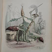 Amazon.co.jp: 週末限定希少J. J. グランヴィル Grandville 最も