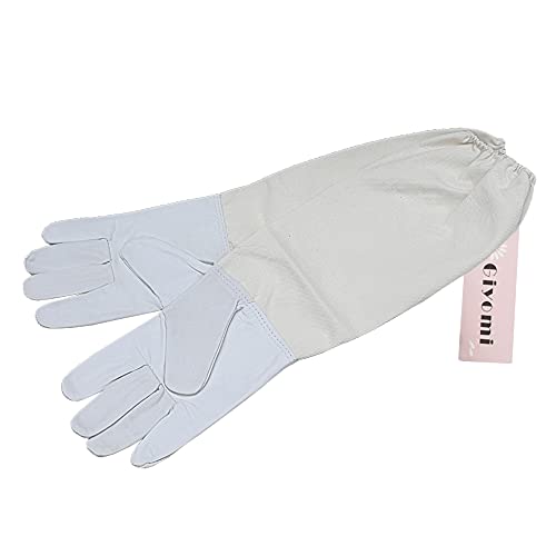 [GIYOMI] Ih앞 {IpWPbgx[ tFCXlbgt ƕ 㒅 I Q쏜 ΍ 悯  K[fjO  AEghA (zCg)