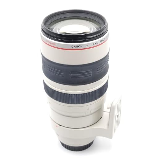 Canon EF 100-400mm Telephoto Zoom Lens