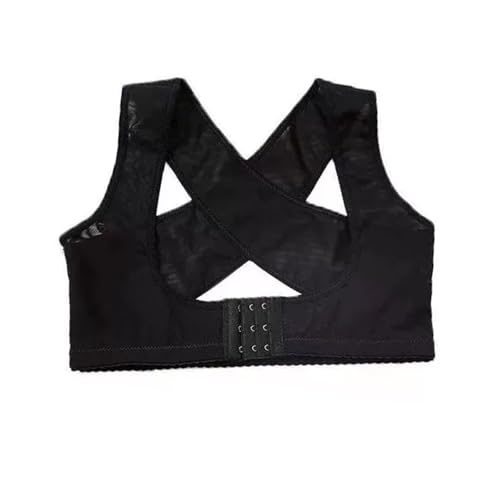 pT|[^[ ␳ pxg w؋xg p␳×CNIw؋u wNX݌v oXgAbvEeXbLEwʁE3iKzbN\ (XL)