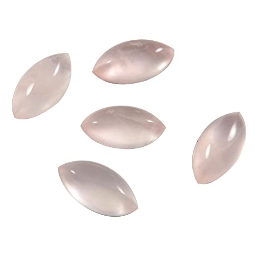 Goyal Exports [YNH[c VR΃J{V 6X12mm }[LX^ 5 bg 10.2Jbg Gtc-437-B09SQ13WMRNAMZ