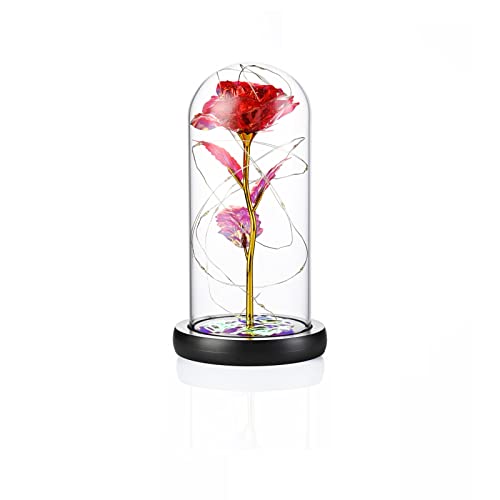 Birthday Presents for Women, Mom, Galaxy Flower Rose Flower, Artificial Rose, Light String Rose Gift, Forever Rose, Rose in Glass Dome, for Mom, Wife, Daughter (Red)