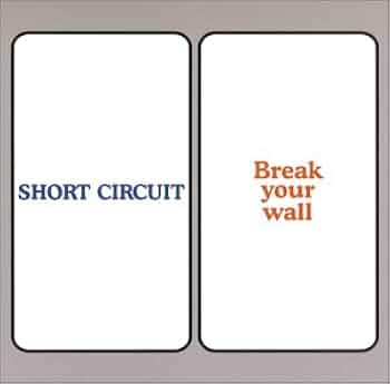 邦楽 SHORT CIRCUIT / Break your wall Amazon.co.jp: BREAK YOUR WALL: ミュージック