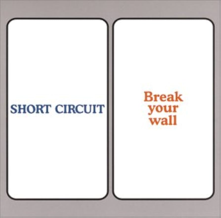 Amazon.co.jp: BREAK YOUR WALL: ミュージック