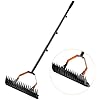 Amazon.com : Thatch Rake, Primachen Lawn Dethatcher Rake, 13.4 Inch ...