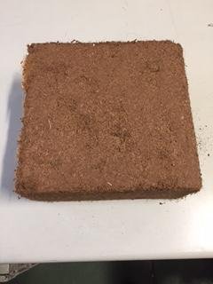 N.G. NICCOLAI Terriccio in Fibra di Cocco per utilizzo Interno ed Esterno - Privo di Torba e concimi - Blocco da 5 kg - polverino