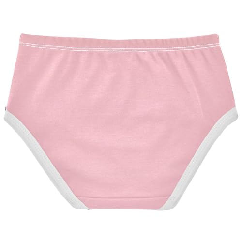 Joisal Blush Pink Gradient Ombre Girl Panties Cute Girls Underwear Toddlers Cotton Colorful Kids Undies Briefs 2t2