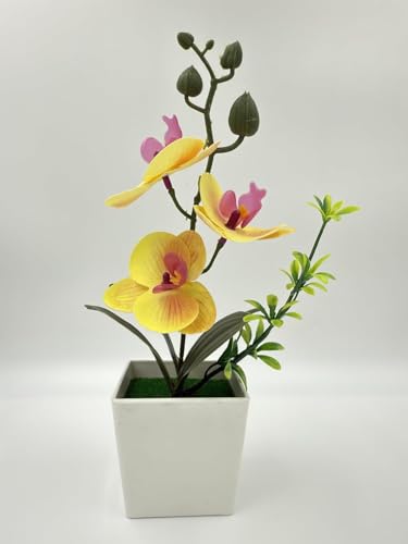 Image of Florona Artificial Orchid Flowers for Decoration with White Plastic Pot | 25 cm Artificial Flowers with Pot | Phalaenopsis Flower with Vase | Realistic Flower for Home, Bedroom, Office (Yellow)