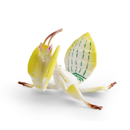 EUHELOPA niJ}L  niJ}L tBMA vf RFm I j bX Rώ@ iRNV X^`[ p Be a v[g 蕨 CeA u