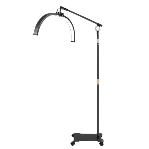 Dekltus Lampe demi-lune sur pied avec roulettes, lampe LED en demi-lune avec télécommande et support de téléphone, lampe de sol réglable, température de...