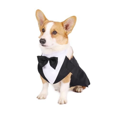 Disfraz formal para perro Tuxedo talla L elegante miniatura 7
