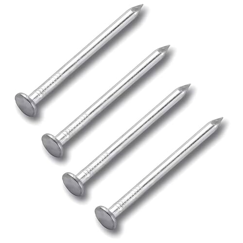 SYDARSYN Masonry Nails 304 Stainless Steel Concrete Nails Wall Nails M2x25mm (200 pcs), Silver