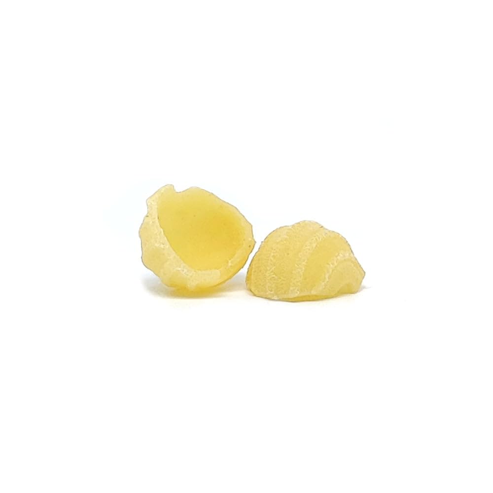 Pastidea - Trafila in bronzo e POM Orecchiette Rigate 15mm compatibile con Philips Pasta Maker Avance e Serie 7000