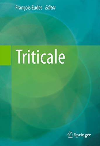 Triticale view 2