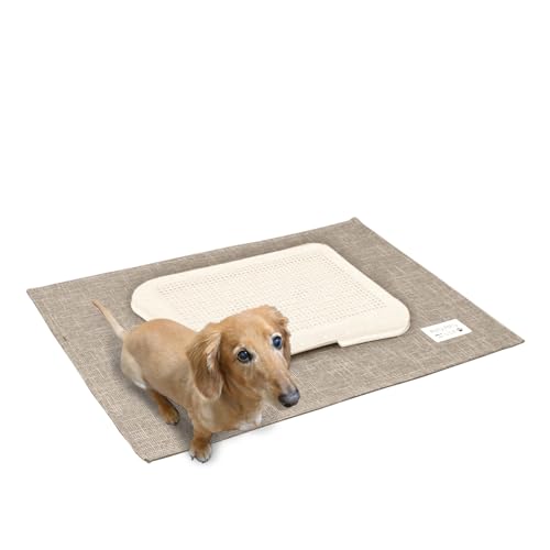 Tx(Sanbelm) p Lp gC̉ɕ~}bg AC{[ 70×56cm PallyPallyPET ͂HȂ̂ɐ@Ő􂦂 gCV[cEgCgC̉ɕ~ PT5309