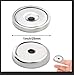 LOVIMAG 60lbs Holding Force Neodymium Cup Magnets, Industrial Strength Round Base Rare Earth Magnets with Heavy Duty Countersunk Hole and Stainless Screws for Tool Room,Workplace Etc, Pack of 12
