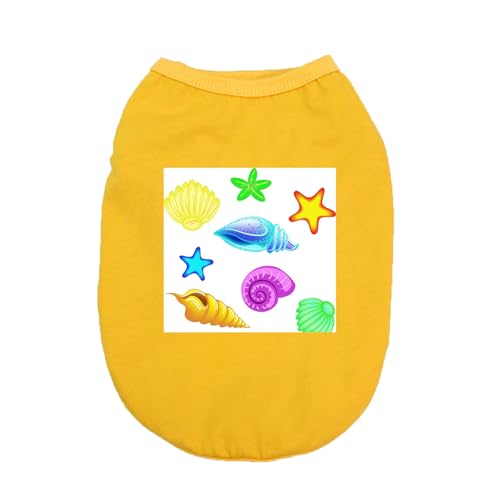 CNJKS TVc  XS   L hbOEFA t t@bV ^ ^ L 㒅   [EFA o h іh~ y AEghA QԒ  p t fUC1  6FWJ^ EFA