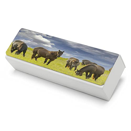 Etui À Lunettes Femme, Convient Également Comme Étui À Lunettes De Soleil - Avec Chiffon À Lunettes Offert Les Chevaux Cover