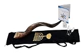 Yaliland Shofar Horn Musical Instrument - Authentic Kosher Kudu Horns from Israel - Includes Bag, Bo