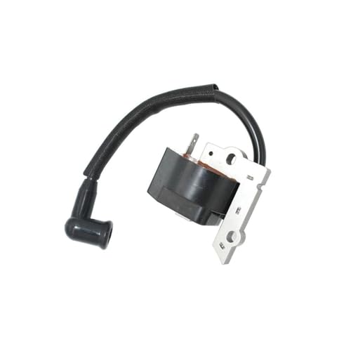 Bobine d'allumage 530039134 pour pièce de rechange thermique 430S