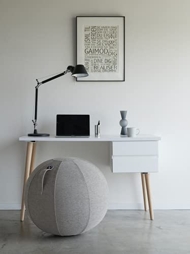 Vivora Luno Exercise Ball Chair, Barley Cover, Chenille, Standard Size (22 To 24 Inches), For Home Offices, Balance Training, Yoga Ball #TOP4