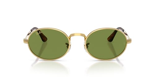 Image of Ray-Ban A$AP Rocky RB3931 Wired Metal Collection Oval Sunglasses