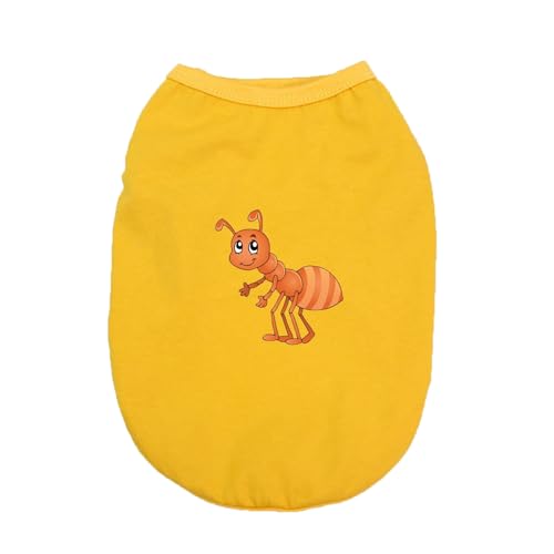 [QINTIW] �� �ĕ� ���� �� �f�U�C��1 ���̕� �V�� �����₷�� ���^�� ���p ���킢�� ������� �y�b�g�� �L ���o�|�� ���U�� �L�O�B�e �t�� ���E�ȒP �E�ѕی� �m�� �q�� ���� �ėp S �ʋC �L�k�� ���^�� �h�b�O�E�F�A ���o����