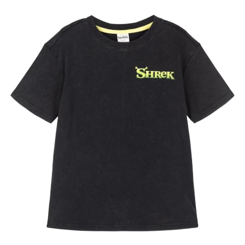 Image of DreamWorks Shrek Matching Family Short Sleeve T-Shirt