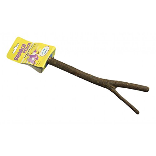Image of (happypet) Bird Accessories Branch Perch Small