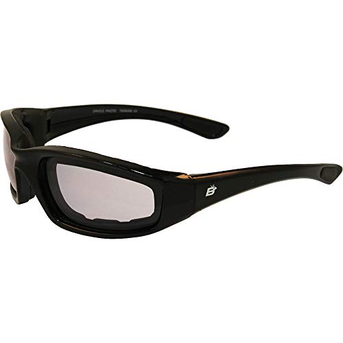 Birdz Eyewear Oriole Motorcycle Glasses