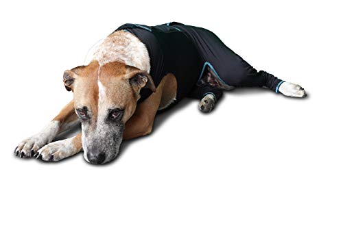 Image of BENEFAB Therapeutic Comfort Suit for Dogs - Lightweight Far-Infrared Jacket for Canines of All Ages - Relaxing FIR Compression Suit Soothes Muscles, Joints, and Pain (X-Small)