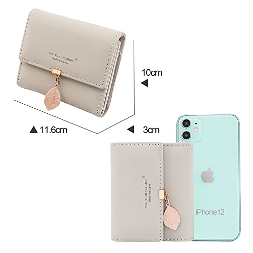 Caliyo Portemonnee voor dames, van glad en zacht kunstleer, groot en lang formaat, met veel vakjes en een vakje voor de mobiele telefoon, in zeer mooie kleuren, grijs - Image 5