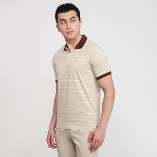 Image of Park Avenue Men Slim Fit Stripe Pattern Pure Cotton Polo Neck Half Sleeve Casual T-Shirt
