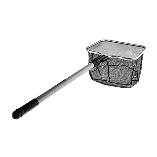 Épuisette de capture aquarium télescopique pour nettoyer le fond du réservoir facilement