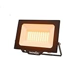 Tecnolite - Reflector LED 50 W Exterior, Luz Cálida Brillante, IP66, IK07, No Atenuable