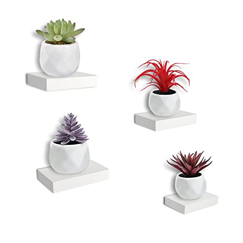 Ni Hao Decor Small Floating Wall Shelf Mounted Showcase Display Shelves with Invisible Brackets for Bedroom Living Room Bathroom Dressing Table Set of 4 White