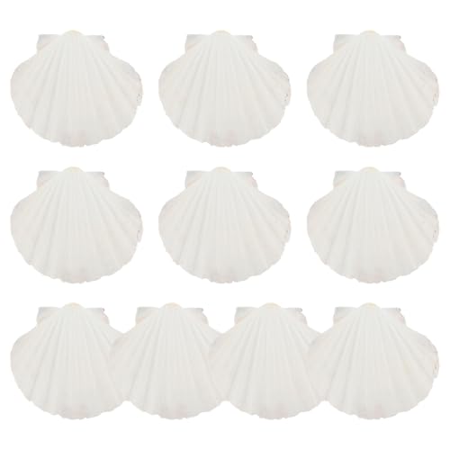 BESTonZON 10 VRz^eLM HipfBXvCd؂M Rfނ̑IVFv[g hΉ z[p[eB[⃌Xg