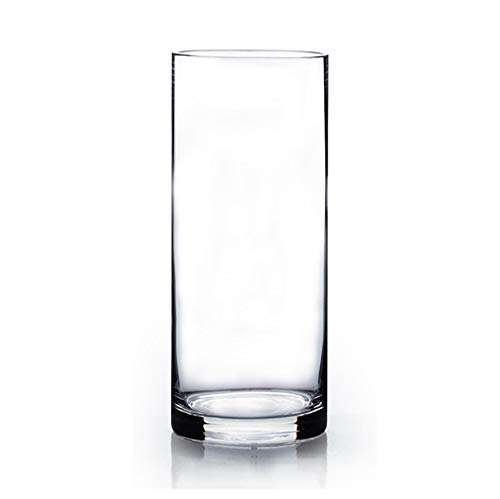 WGV Cylinder Vase, Diameter 5", Height 12", Clear Glass Floral Planter Container, Tall