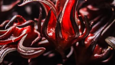 Miniatura 6 de Sémaj - Flor de acedera secaroselahibisco, hojas de acedera secas orgánicas (8 onzas, 8.04 oz) paquete económico con especias enteras, hoja de