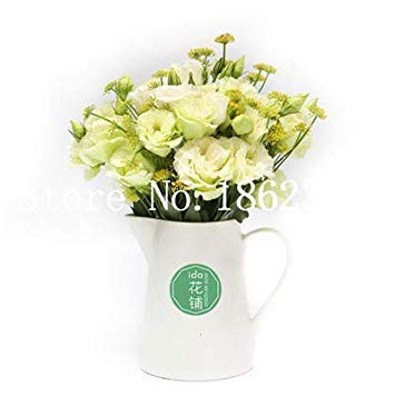 Potseed 100 pcs Eustoma Grandiflorum Lisianthus Flower Perennial Ornamental Plant Sementes de Flores: 9