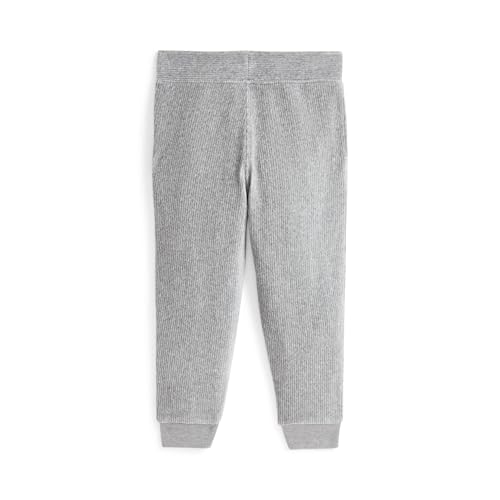 Polo Ralph Lauren Boys Knit Corduroy Jogger Pants (Toddler/Little Kid) Andover Heather 7 Years2