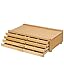 DJAR Basic Aufbewahrungsbox mit 4 Schubladen, tragbare Premium-Buchenholz-Organizer-Box für Pastellkreide, Bleistifte, Stifte, Pinsel, Briefmarken, Kunstaufbewahrung mit herausnehmbaren Trennwänden