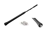 incl. M4 M5 M6 Gewinde - Zubehör 16V AM FM Auto-Antennen Original Einbauort für KFZ - Audi A2 A3 8P A4 A5 A6 A7 - BMW 1-er 2-er 3-er E46 Z4 - Ford Fiesta Focus C-Max Kuga - OPEL Corsa B C D E Astra Mokka Zafira Signum - VW up Lupo Polo 6n 6r 9n Sport Golf 3 Passat 3c 3BG Caddy T5 Touran Tiguan Beetle